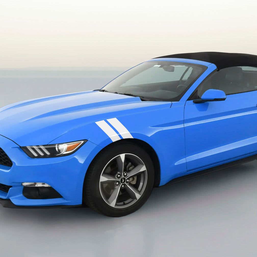 3_DualFenderStripeHashMarkStri