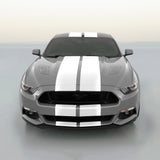 Ford Mustang Dual Racing Stripe Kit