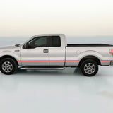 2009-2014 Ford F150 Side Channel Trim Stripe Kit