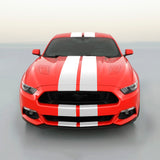 Ford Mustang Dual Racing Stripe Kit