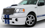 Ford F150 Dual Racing Stripe Kit