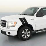 Ford F150 Dual Fender Stripe Kit