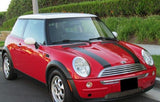 Mini Cooper Dual Racing Stripe Kit - Automotive Authority