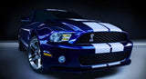 Ford Mustang Dual Racing Stripe Kit