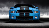 Ford Mustang Dual Racing Stripe Kit - 2 Stripe