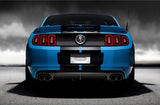 Ford Mustang Dual Racing Stripe Kit