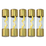 AGU Fuse 10A-100A Gold Glass Inline for Car Auto Audio Stereo Amplifier Protection