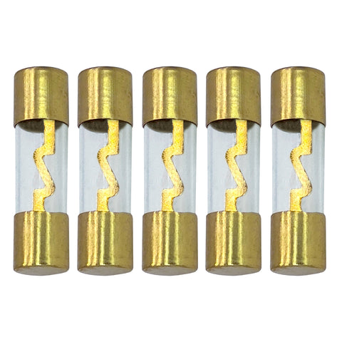 AGU Fuse 10A-100A Gold Glass Inline for Car Auto Audio Stereo Amplifier Protection